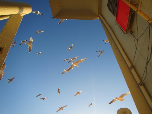 ???????????????????????????????