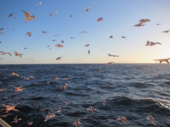 ???????????????????????????????