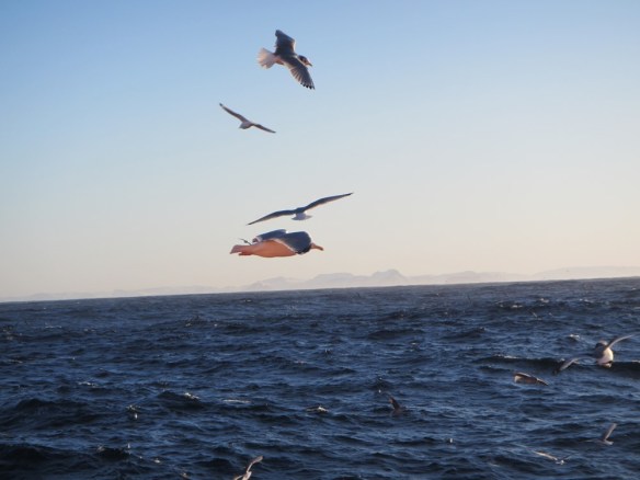 ???????????????????????????????