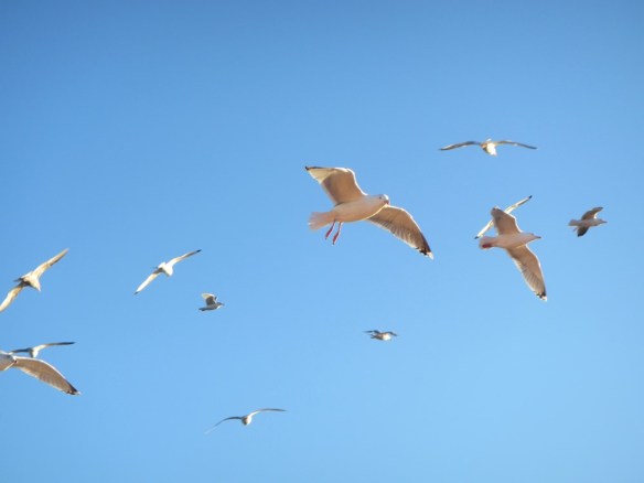 ???????????????????????????????