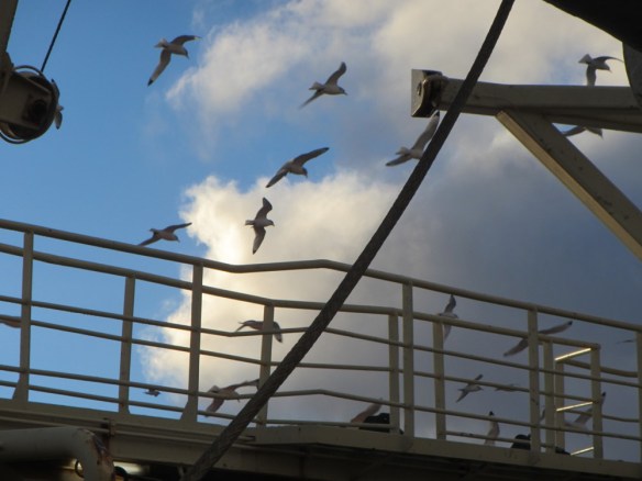 ???????????????????????????????