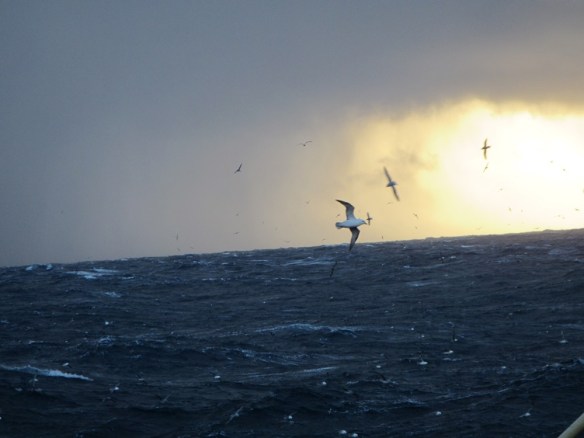 ???????????????????????????????