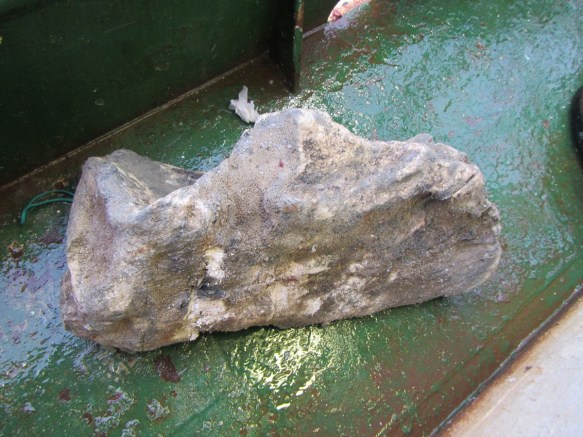 ???????????????????????????????