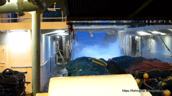 MVI_0013.MOV (0_00_08) 000136