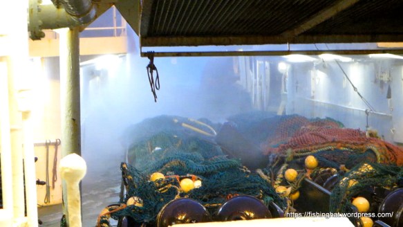 MVI_0013.MOV (0_00_40) 000138