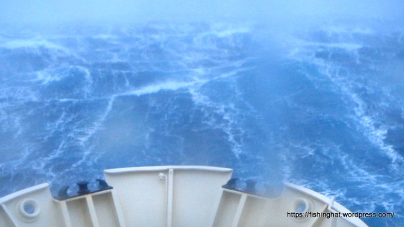 MVI_0017.MOV (0_01_26) 000142