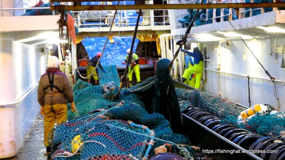 MVI_0145.MOV (0_00_04) 000179