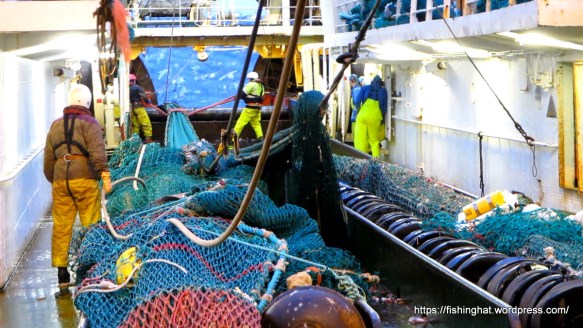 MVI_0145.MOV (0_00_21) 000180