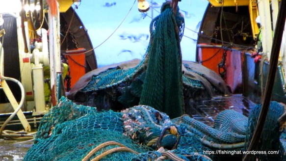 MVI_0145.MOV (0_01_03) 000184