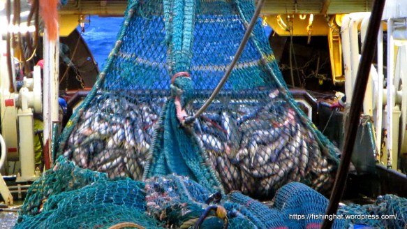 MVI_0145.MOV (0_02_06) 000189