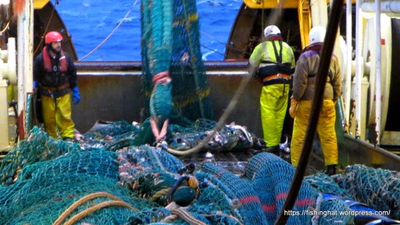 MVI_0145.MOV (0_02_20) 000190