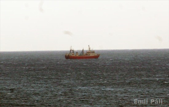 cdcd1e40-2f51-4081-8cd3-a647edd9c293_MS