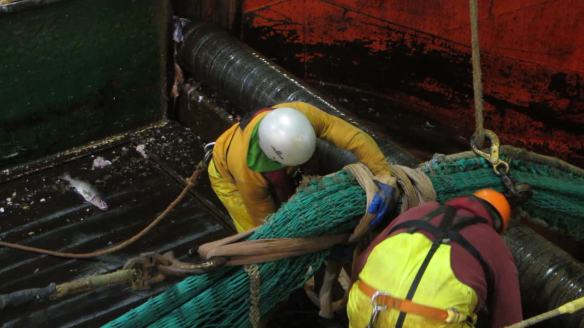 vlcsnap-2015-04-15-05h14m39s114