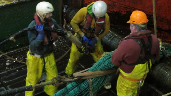 vlcsnap-2015-04-15-05h15m31s120