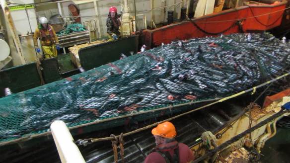 vlcsnap-2015-04-15-05h16m02s164