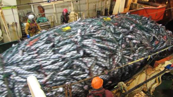 vlcsnap-2015-04-15-05h16m50s149