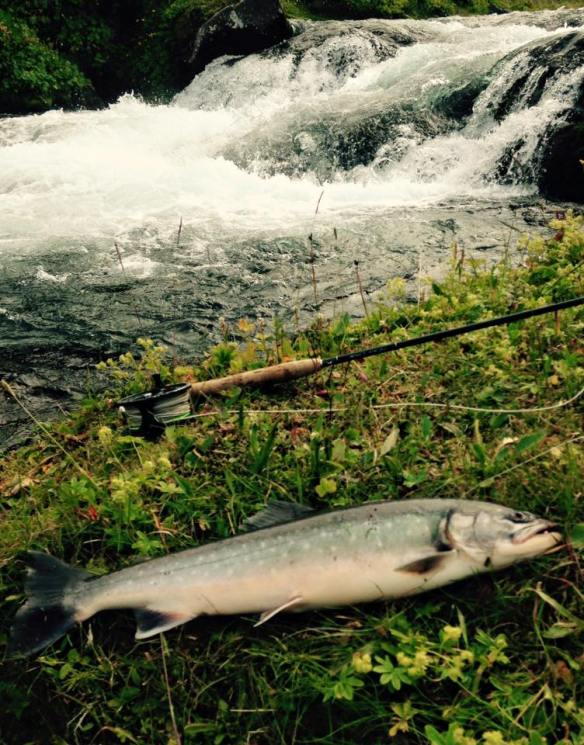 11224769_10206169703054700_6968470884886621417_n