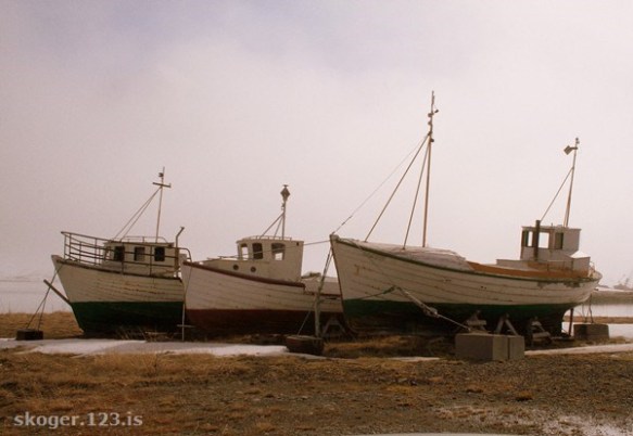 snarfari bæringur oghafdís