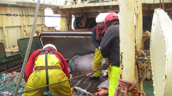 vlcsnap-2016-06-12-03h57m56s255