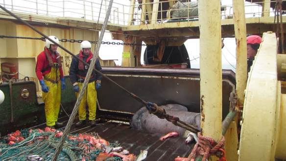 vlcsnap-2016-06-12-03h58m26s116