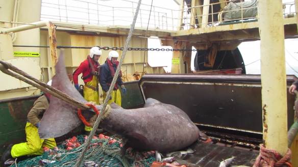 vlcsnap-2016-06-12-03h58m47s98