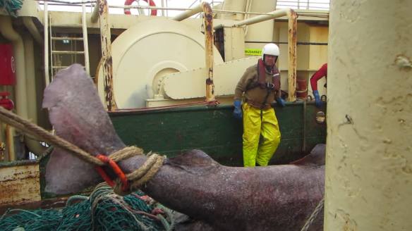 vlcsnap-2016-06-12-03h59m14s112