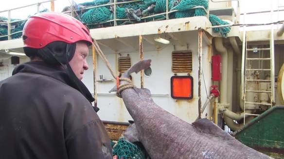 vlcsnap-2016-06-12-03h59m31s47