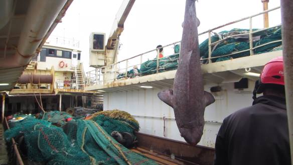 vlcsnap-2016-06-12-04h00m15s227