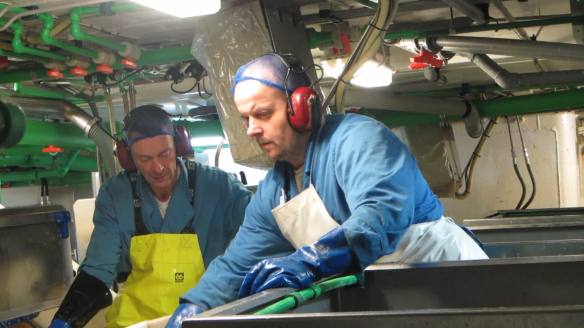 vlcsnap-2016-08-31-06h45m50s80