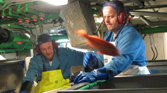 vlcsnap-2016-08-31-06h46m16s15