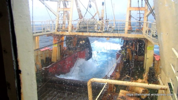 mvi_7877-mov-0_01_05-000201