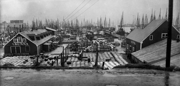 siglufjordur-herring-iceland-icelandic-times